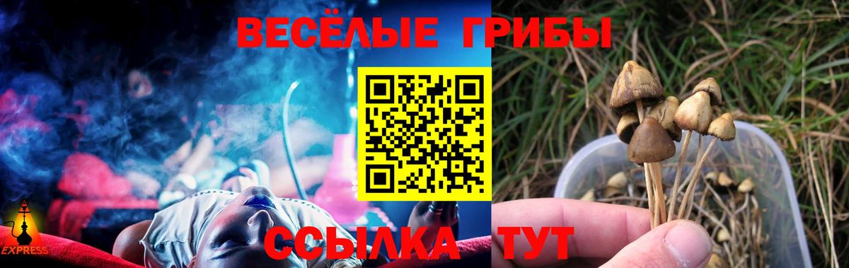 Псилоцибиновые грибы Psilocybe Горячий Ключ